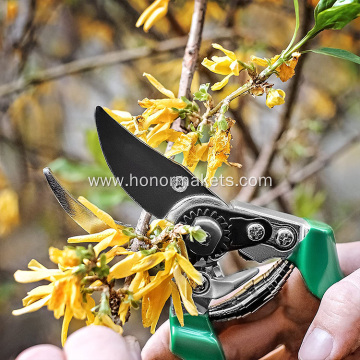 Green customized garden scissors pruner for tree/flowers, professional steel garden hand pruner for women